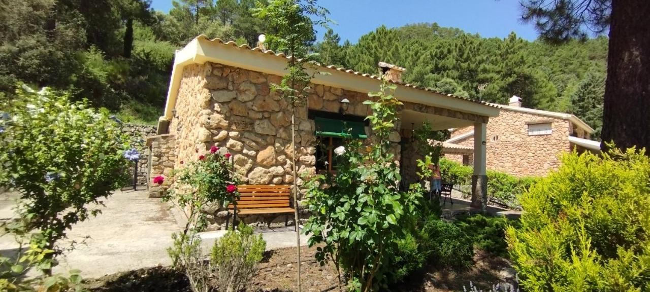 La Lobera Alojamiento Rural Riópar Εξωτερικό φωτογραφία